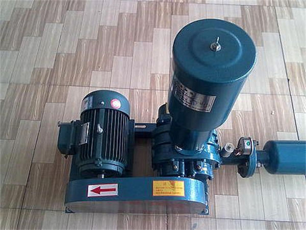 羅茨風(fēng)機(jī)（原廠配件）